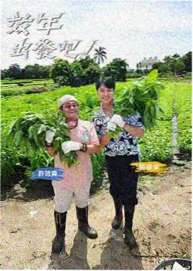城市漫游者 旅行人文综艺免费观看